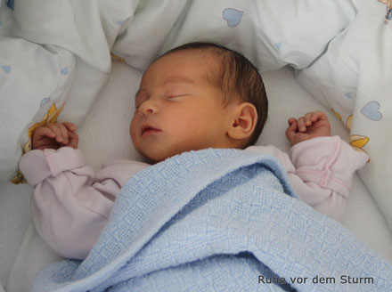 Aylin Nora 2012